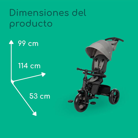 Tricycle Stroller (10 mo–4 yrs)